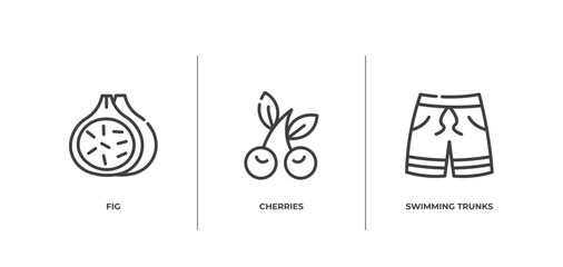summer outline icons set. thin line icons sheet included fig, cherries, swimming trunks vector.