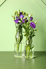 Vases with eustoma flowers on table near green wall