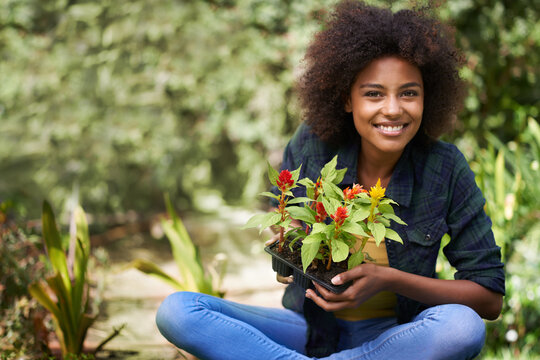 Black Woman In Garden, Smile In Portrait With Gardening And Plant Or Flower, Botany And Young Gardener Outdoor. Happy Female Person With Growth, Environment And Plants Out In Nature With Landscaping