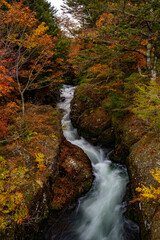竜頭の滝の上流