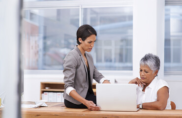 Laptop, team and business women with advice, feedback or report for online research, project planning and website. Professional employees or people talking of internet solution on computer at office