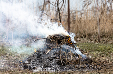 Burning dry grass on the ground in the forest. Close-up