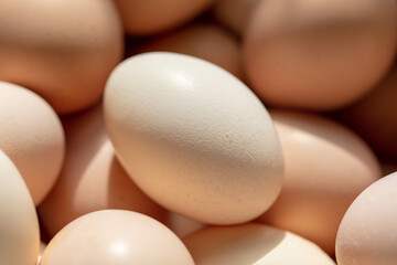Eggs in a box. Close-up.