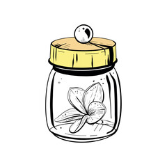 Vector illustration of closed glass container with solid lid and plumeria flower inside. Black outline, graphic drawing in curves. For postcards, design and composition decoration, prints, posters