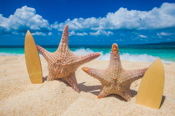 Fototapeta na wymiar Two starfish surfers on beach