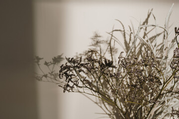 Dried grass bouquet in sunlight shadows on dark neutral beige wall. Aesthetic minimal floral composition