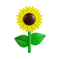 sunflower 3d rendering icon illustration, png file, transparent background, spring season