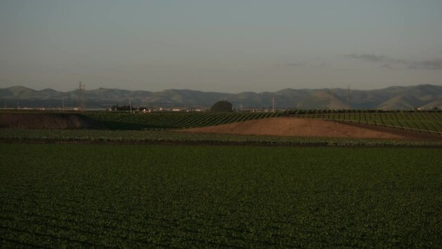 The camera moves across a farming area, showing a wide and expansive agricultural field.