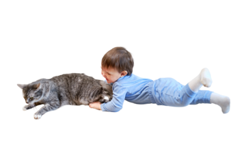 Funny baby toddler boy grabs the cat, isolated on white background. Child bully torturing pet playing with him on the home sofa. Kid age one year five months in the home living room