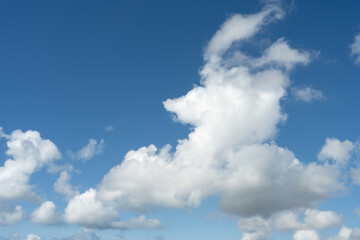 Daytime cloudscape of a white cloud in a blue sky shaped by the wind.
