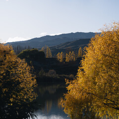 autumn in New Zealand near Cromwell