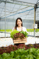 Asian female farmer working early on farm holding wood basket of fresh vegetables and tablet in the greenhouse