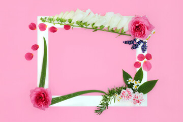 Flowers, herbs and wildflowers used in homeopathic and naturopathic herbal plant medicine and flower remedies. Summer nature floral composition on pink background with white frame.
