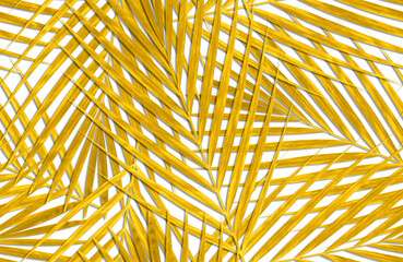 リアルな椰子の葉を金色に、シームレスでつながる透明の背景パターン