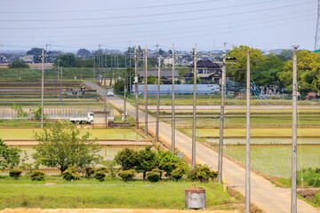 春の田んぼとその間を通る道