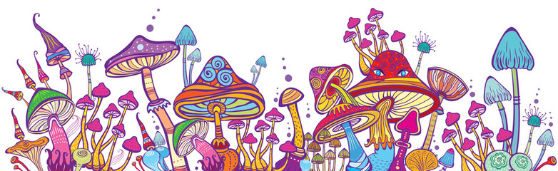 Magic mushrooms, Psychedelic hallucination art, Horizontal banner 