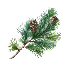watercolor cone pine