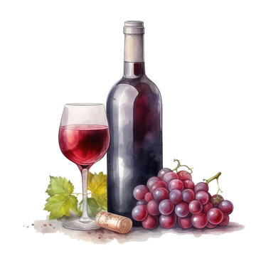 Watercolor bottle of wine and bunch of grapes
