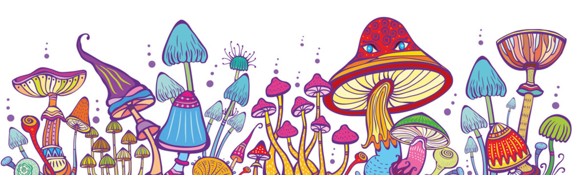 Magic mushrooms, Psychedelic hallucination art, Horizontal banner 