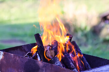 Firewood burning in a brazier outdoors