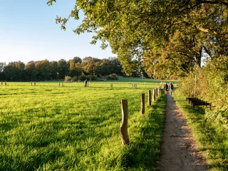 Fotobehang Slaapkamer Walkers on footpath through nature near town of Ootmarsum, Overijssel, Netherlands  © TasfotoNL