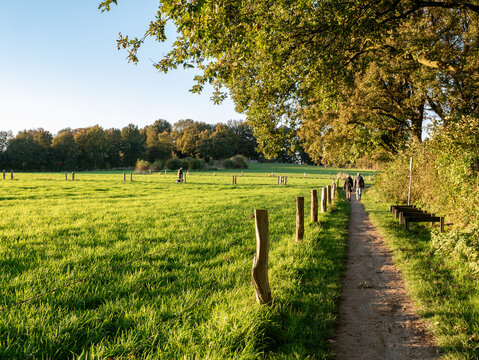 Walkers on footpath through nature near town of Ootmarsum, Overijssel, Netherlands