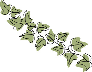 simplicity ivy continuous freehand drawing.