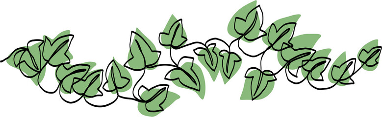simplicity ivy continuous freehand drawing.