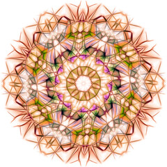 Spirograph style overlapping colourful pattern and design on a plain white background