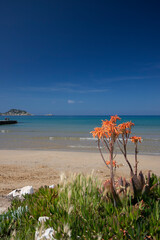 Krajobraz morski. Piaszczysta plaża i widok morski w malutkiej wiosce Arillas na zachodnim wybrzeżu greckiej wyspy Korfu. Malownicze scenerie nad Morzem Jońskim.  - obrazy, fototapety, plakaty