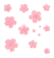Kirschblüten, Sakura, Hanami, Blütenblätter auf transparentem Hintergrund, freigestellt, png Datei - obrazy, fototapety, plakaty
