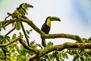 Costa Rica