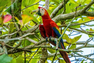 Costa Rica