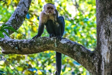 Costa Rica