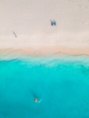 Eagle Beach Aruba, Palm Trees on the shoreline of Eagle Beach in Aruba, a aerial drone view at the beach