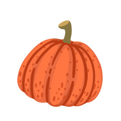 Orange pumpkin seasonal vegetable vector illustration isolated on white background