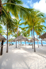 Palm Beach Aruba Caribbean Island, white long sandy beach with palm trees at Aruba Antilles.
