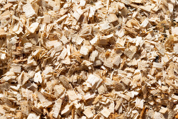 Lots of wood shavings as background, texture, pattern.
