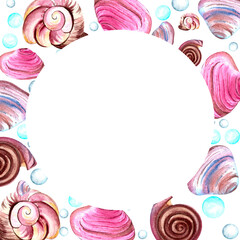 frame painted with watercolor seashells isolated white background hand drawn