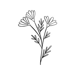 Black silhouettes of grass, flowers and herbs isolated on white background. Hand drawn sketch flowers and insects.