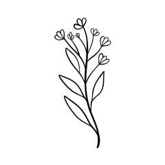Black silhouettes of grass, flowers and herbs isolated on white background. Hand drawn sketch flowers and insects.