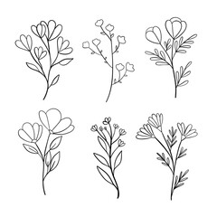 Set of floral elements. Flowers with black line. Drawn by hand. Wedding concept - flowers. Floral poster, invite. Vector arrangements for the design of greeting cards or invitations