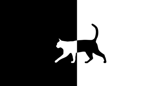Black and white animation with a walking cat, black and white balance (seamless loop)