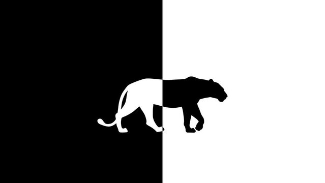 Black and white animation with a walking lion, black and white balance (seamless loop)