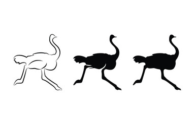Black and white ostrich running on a white background in vector