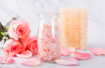 Women's skin care Spa health set