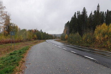 A picture taken of a road in northern Sweden during fall, showing clouds and various colors of trees.