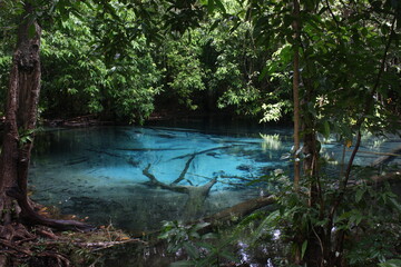 The real blue at Emerald Pool in Krabi province of Thailand.
