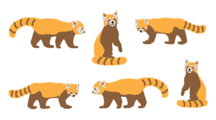Set of cute adorable red panda in different poses design animal character flat vector style illustration on white background