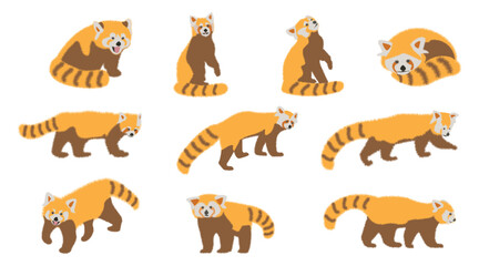 Set of cute adorable red panda in different poses design animal character flat vector style illustration on white background